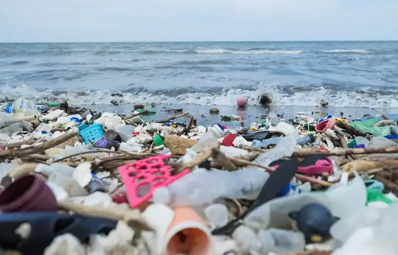 Plastic Waste